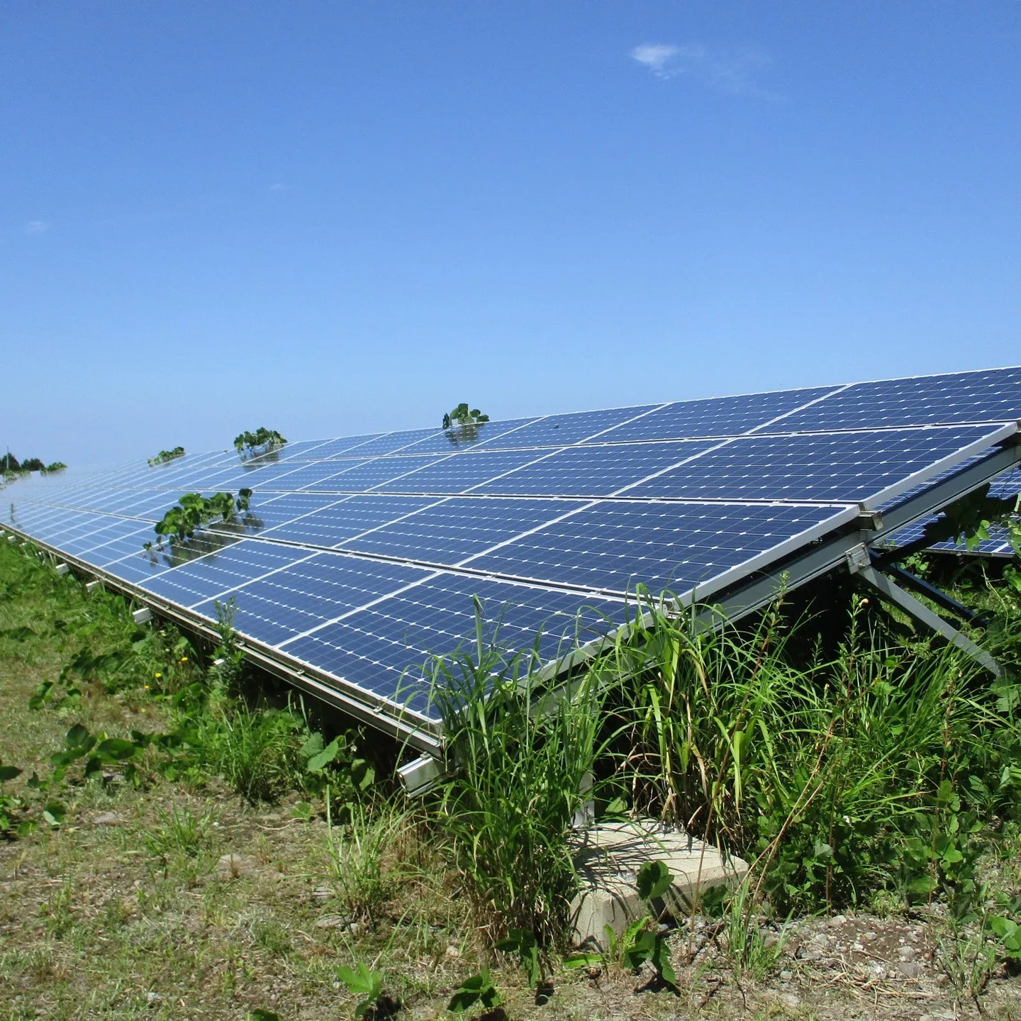 発電施設のメンテナンスの中でも除草作業は大切です。