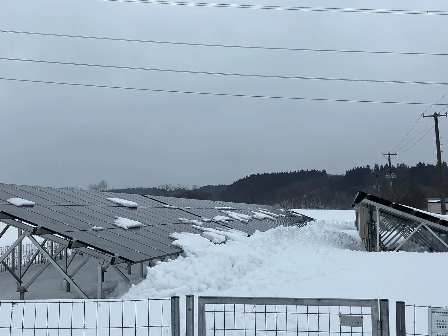 撮影日(2月25日)