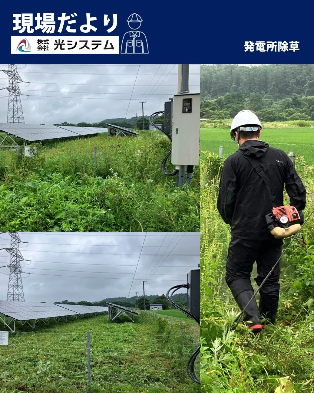 先月、弊社が管理している発電所へ今年２回目の除草作業を行いま...