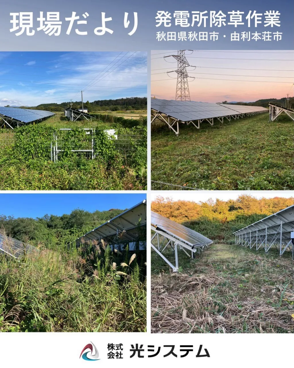 発電所のメンテナンスにおいて除草は大事な作業の一つです。