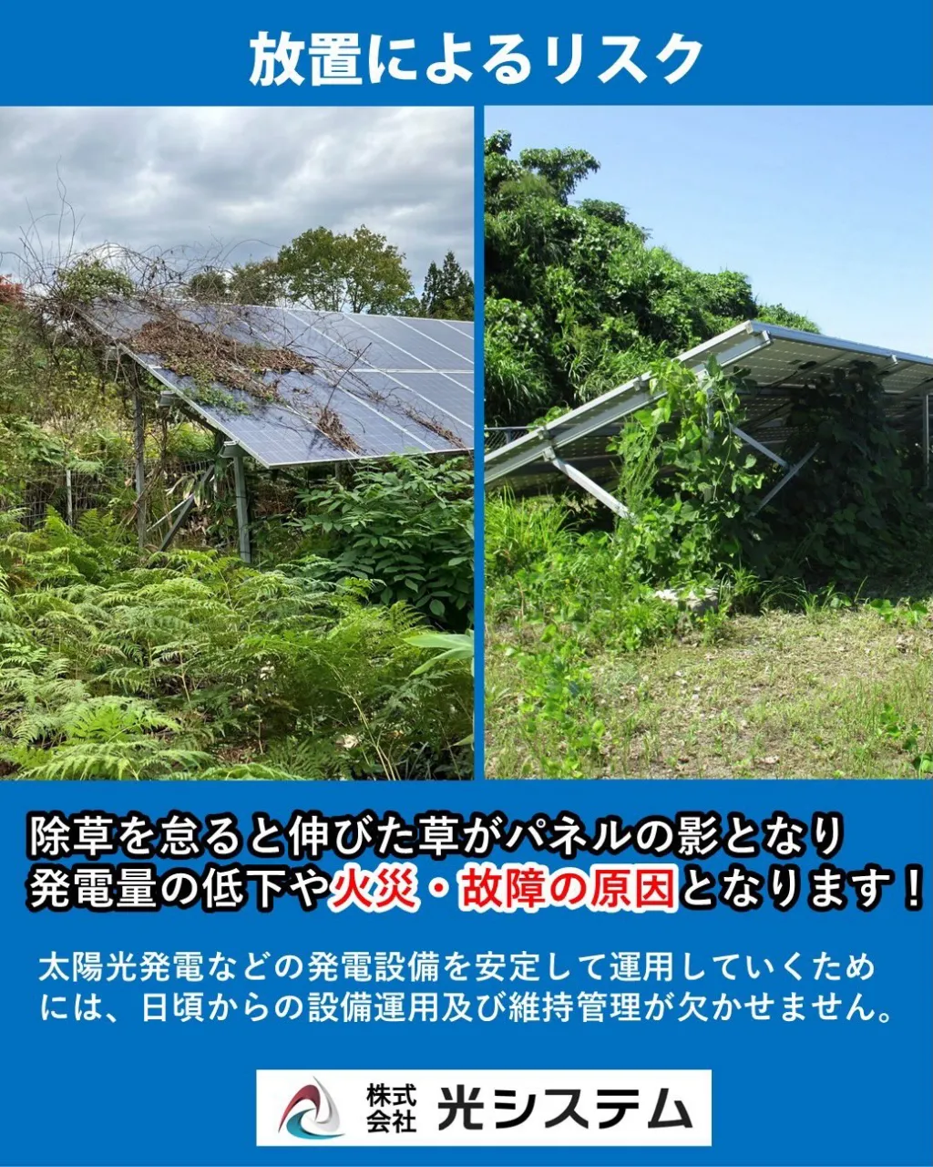発電所のメンテナンスにおいて除草は大事な作業の一つです。